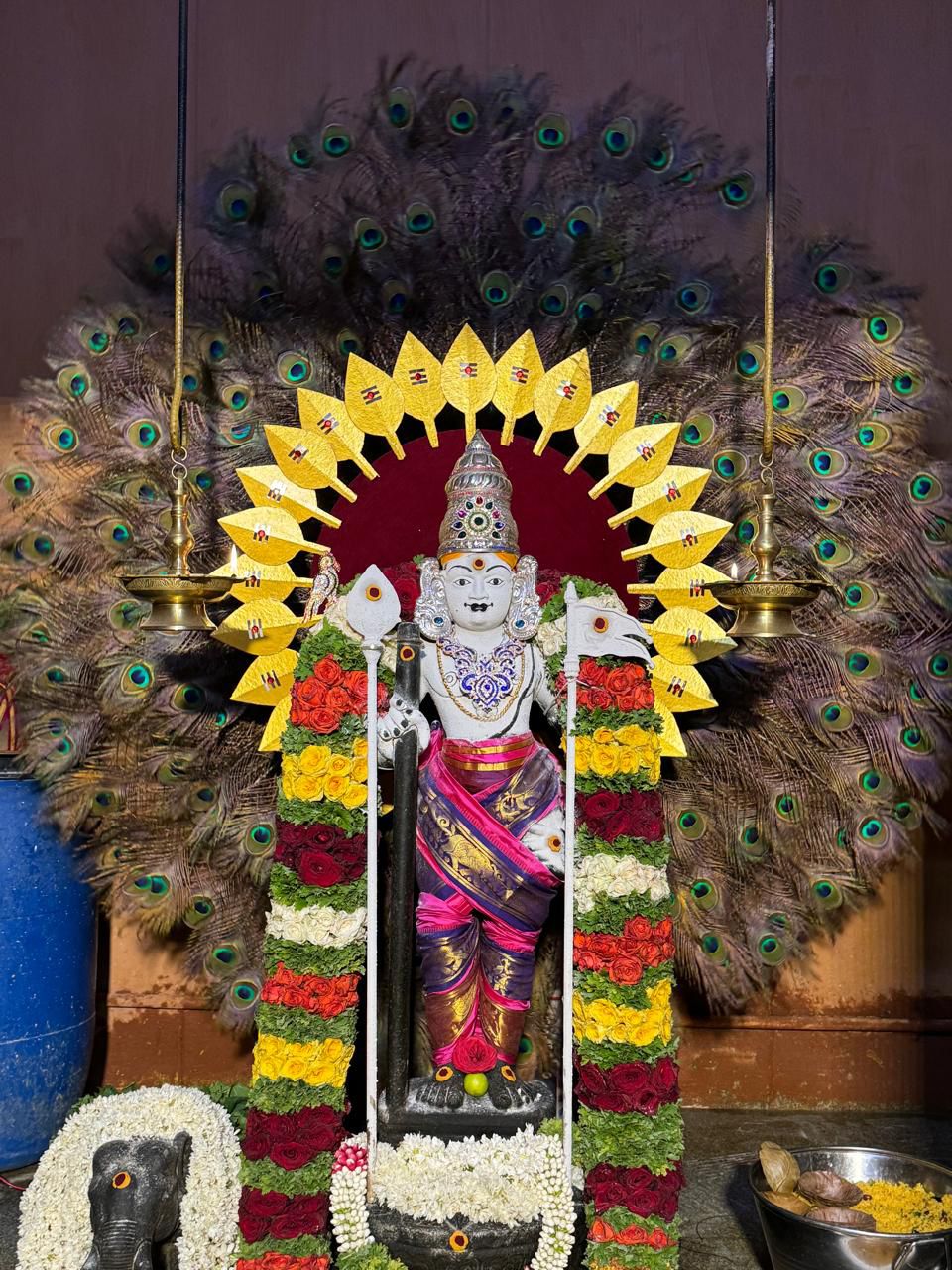 WhatsApp Image 2024-08-30 at 15.25